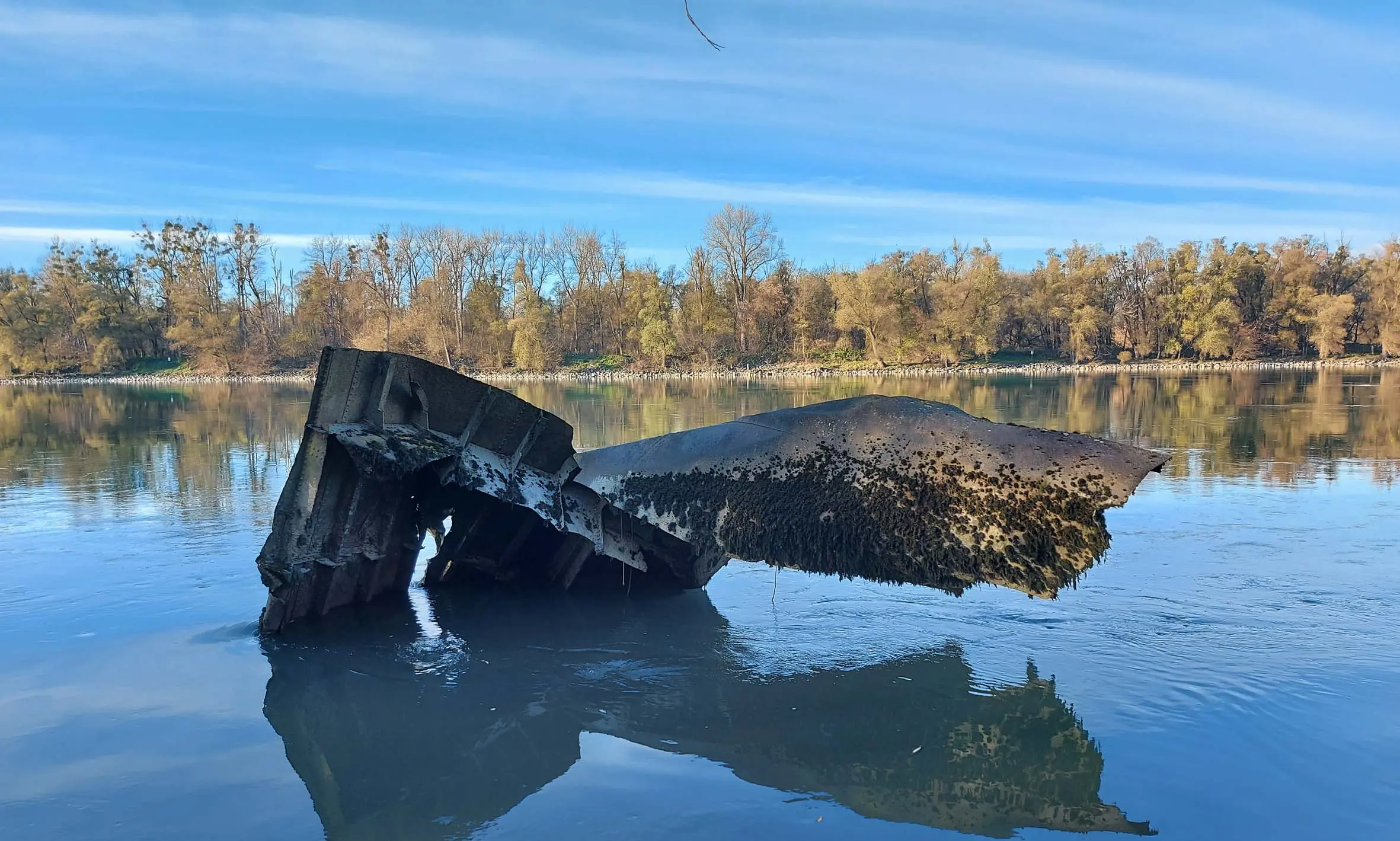 Der Bug der AT 916 ragt bei niedrigen Wasserstand aus der Donau. (Foto: RedTD/Gerold Keusch)