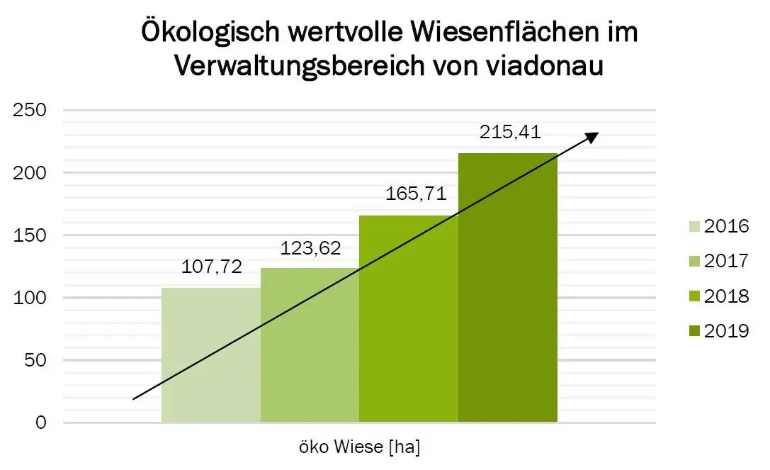 Diagramm - Haktar Wiesenflächen von viadonau verwaltet (2016: 107,72 Hektar, 2019: 215,41 Hektar)