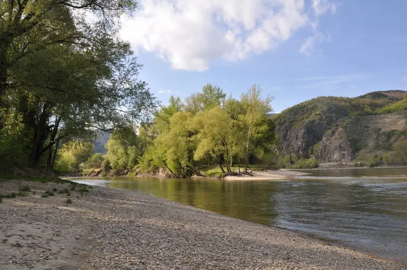 Wildufer an der Donau