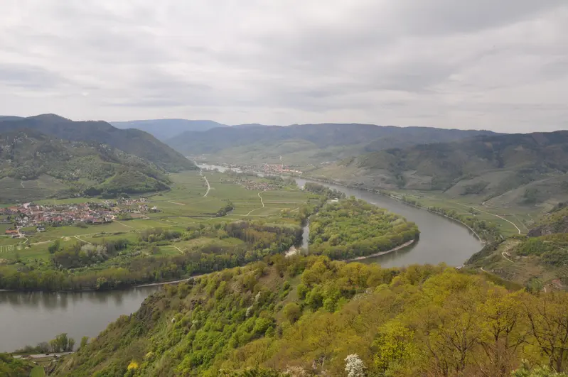 Frei fließende Donau